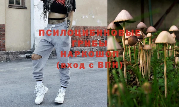 герыч Осинники