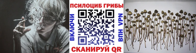 Псилоцибиновые грибы GOLDEN TEACHER  omg рабочий сайт  Куровское 
